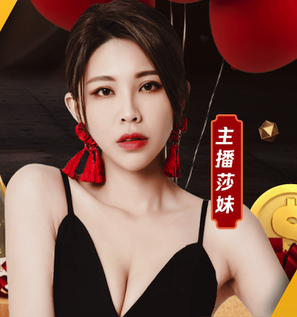 开云体育 乒乓球台兼斯诺克球台